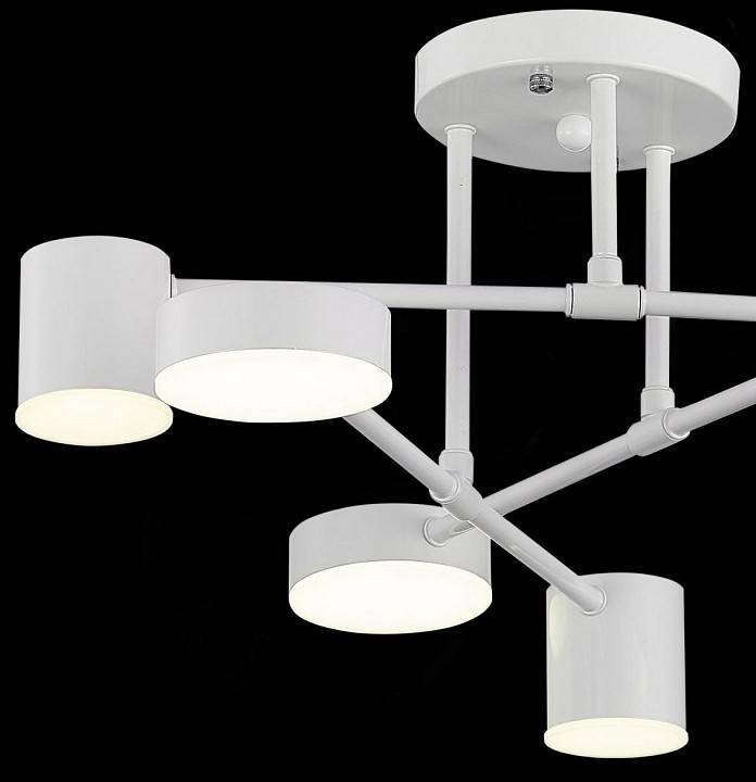 Потолочная люстра EVOLUCE Nobel SLE201052-06