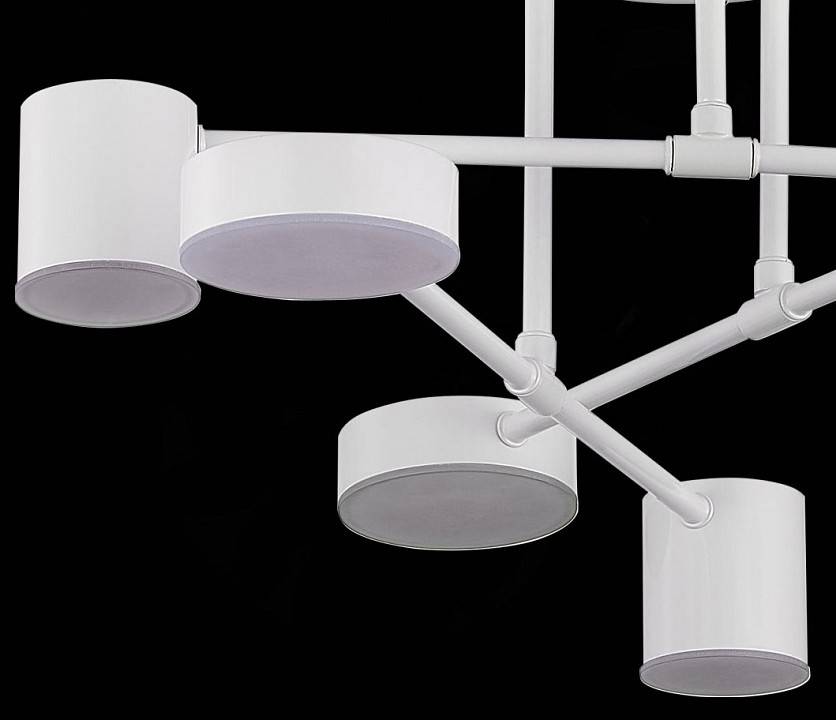 Потолочная люстра EVOLUCE Nobel SLE201052-06