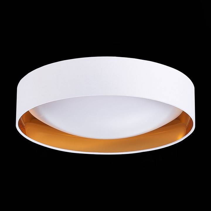 Накладной светильник EVOLUCE Orbio 2 x E27 SLE201122-01