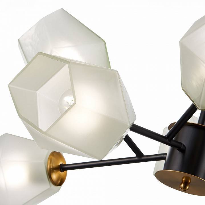 Люстра на штанге EVOLUCE Terramo 8 ламп SLE205102-08