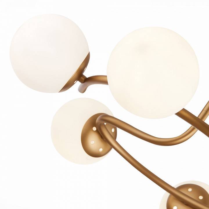 Люстра на штанге EVOLUCE Calabria 6 ламп SLE220602-06