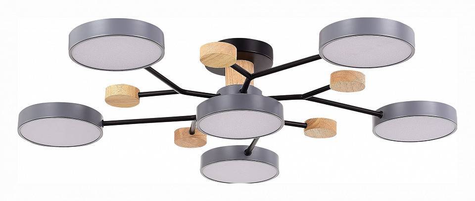 Потолочная люстра EVOLUCE Faema 6 ламп SLE6006-702-06