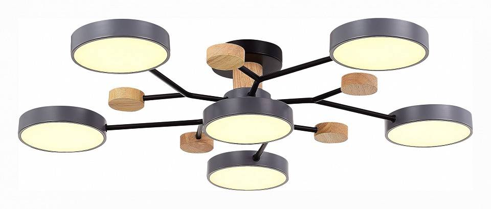 Потолочная люстра EVOLUCE Faema 6 ламп SLE6006-702-06