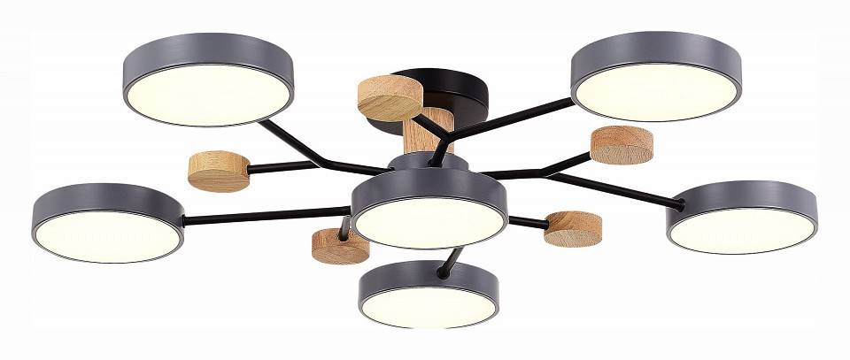 Потолочная люстра EVOLUCE Faema 6 ламп SLE6006-702-06