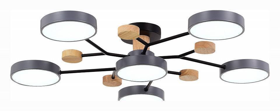 Потолочная люстра EVOLUCE Faema 6 ламп SLE6006-702-06