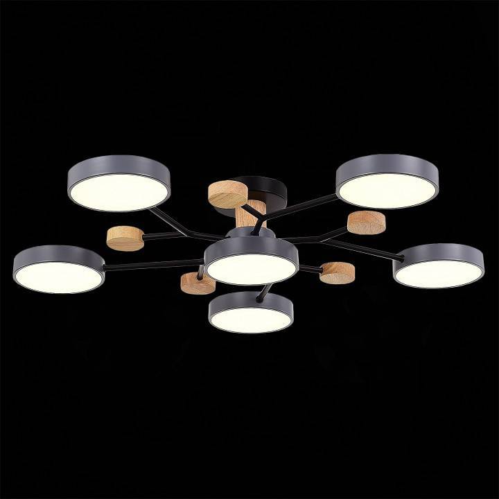 Потолочная люстра EVOLUCE Faema 6 ламп SLE6006-702-06