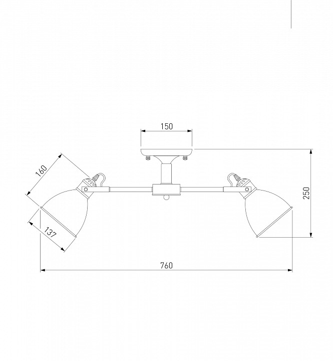 Люстра на штанге Eurosvet Denley 70112/8 черный