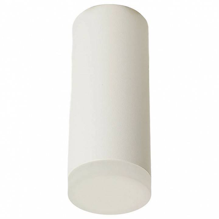 Накладной светильник Feron ML102 51389