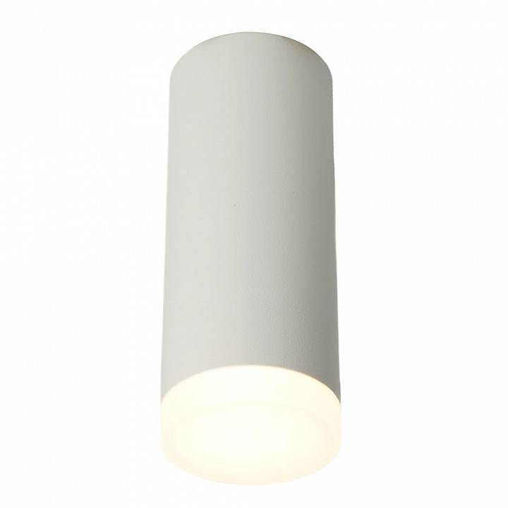 Накладной светильник Feron ML102 51389