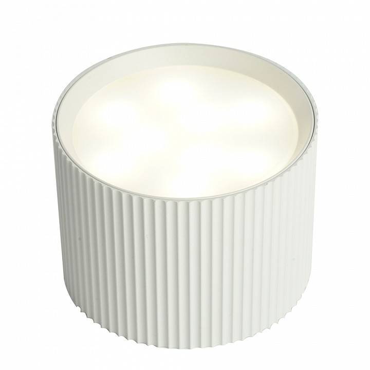 Накладной светильник Feron HL458 51670