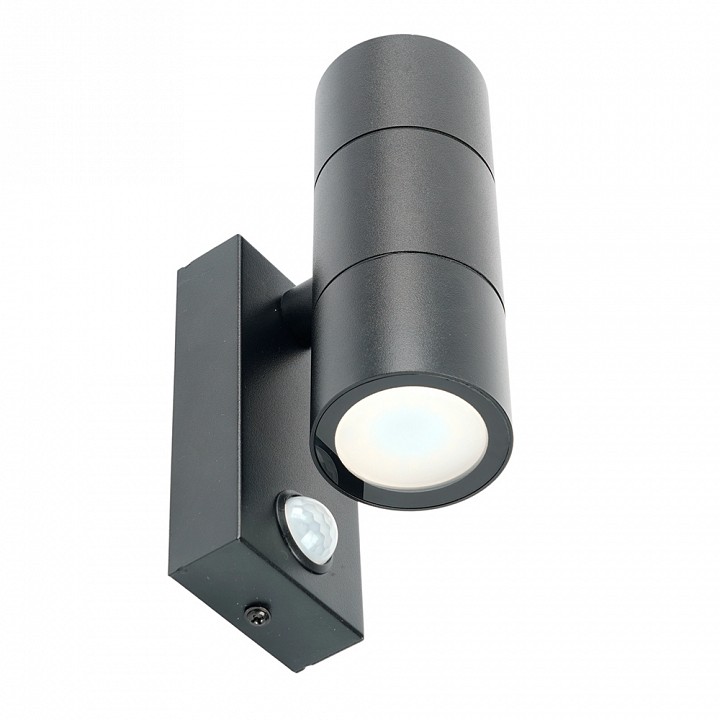 Накладной светильник Feron Бостон 51964