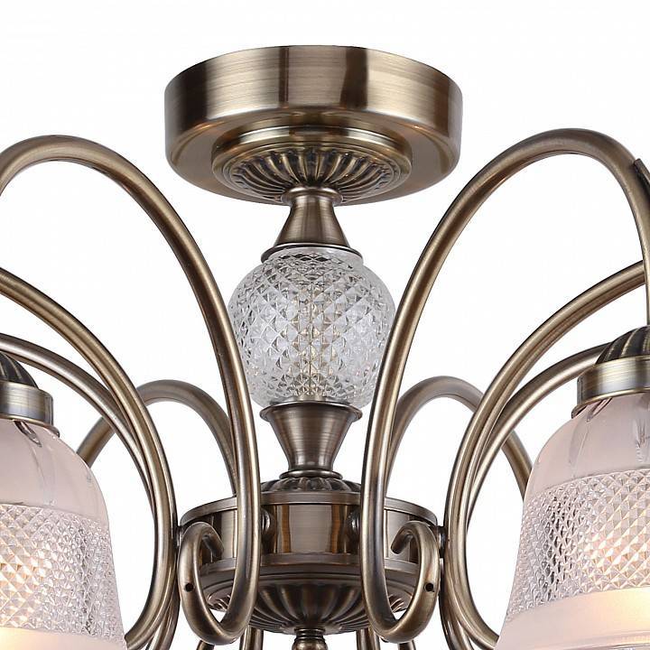 Люстра на штанге F-Promo Vetus 2194-8U