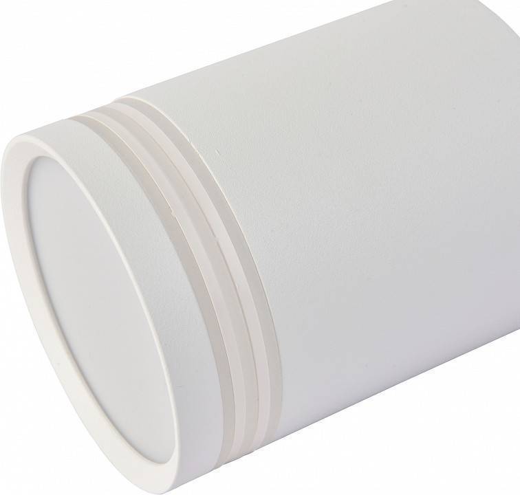 Накладной светильник Favourite Darar 3065-1C