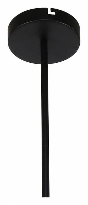 Подвесная люстра F-promo Ducan 3094-8P