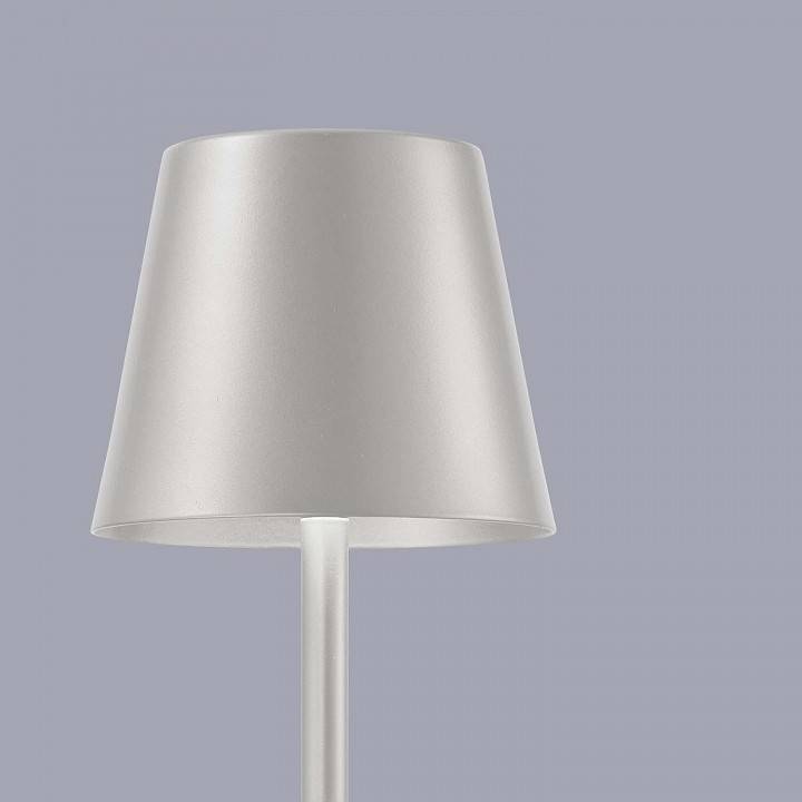 Настольная лампа декоративная F-promo Pyari 4617-1T