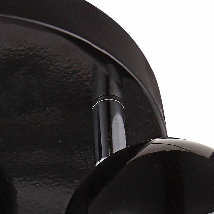 Спот Globo Oman 3 лампы 57884-3