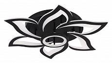 Потолочная люстра Natali Kovaltseva Olimp HIGH-TECH LED LAMPS 82020 BLACK