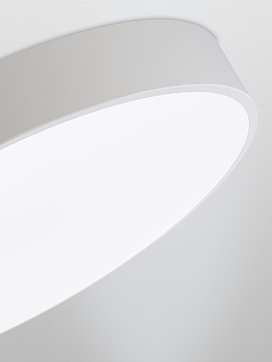 Светильник накладной Natali Kovaltseva MODERN LED LAMPS 81105/1C