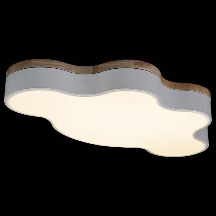 Накладной светильник Loft it Axel 4 10005/36 White