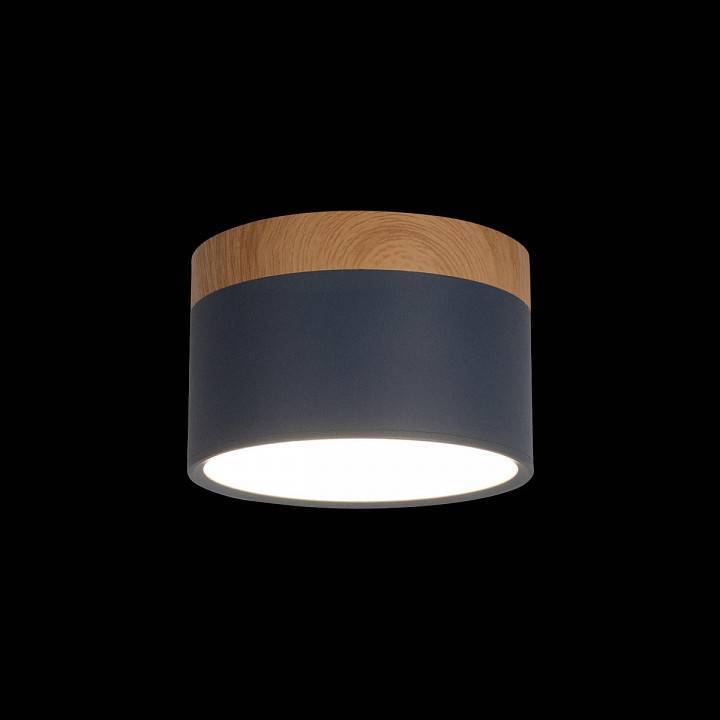 Накладной светильник Loft it Grape 10162 Blue