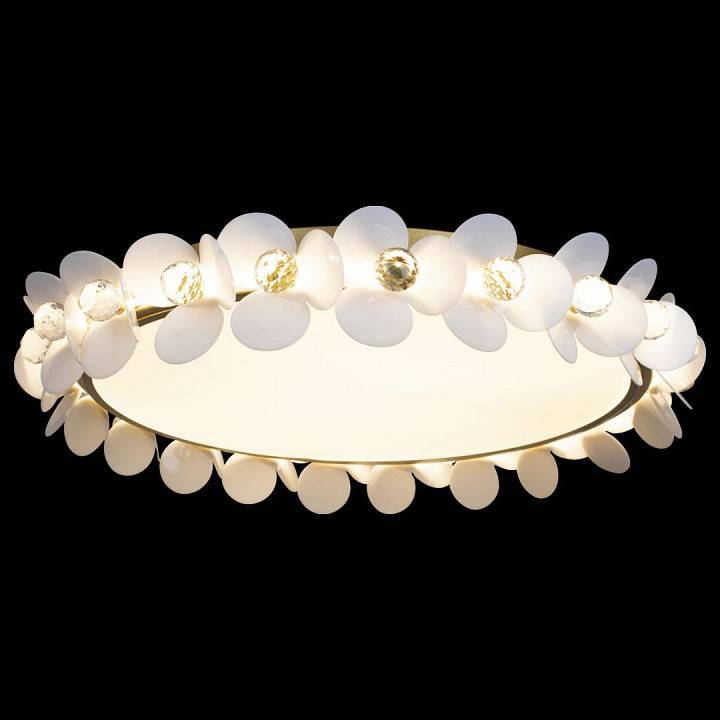 Накладной светильник Loft It Bride 10176