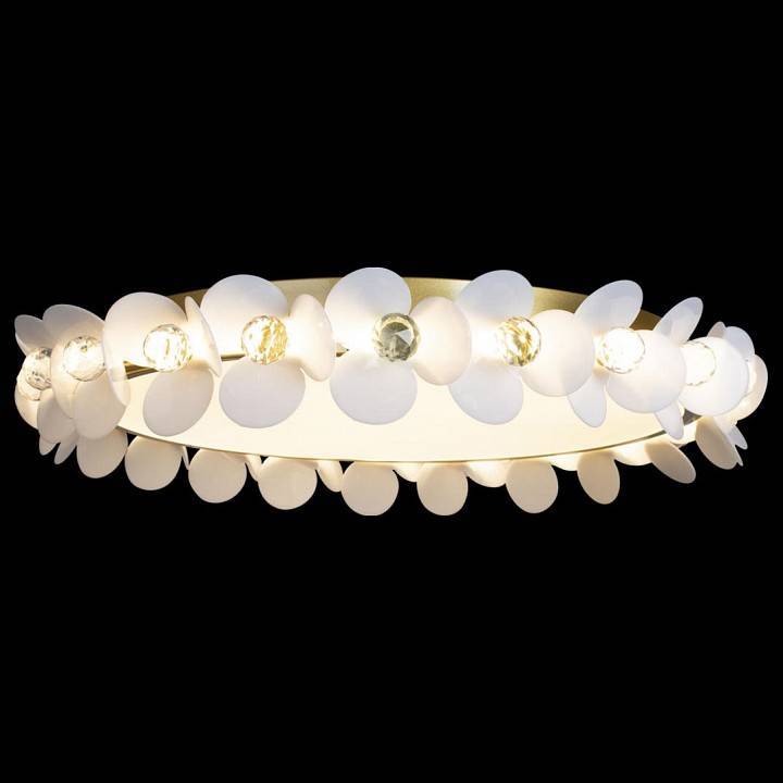 Накладной светильник Loft It Bride 10176