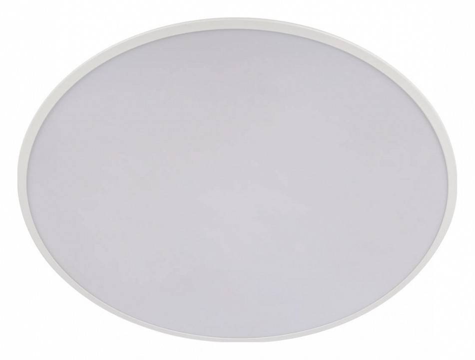 Накладной светильник Loft it Brim 10226 White