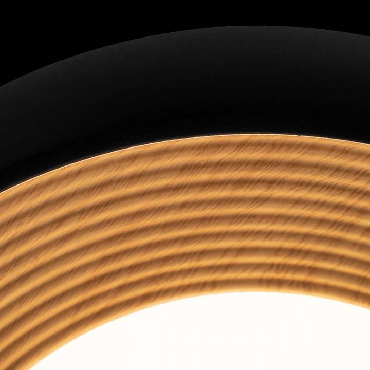 Накладной светильник Loft it Folk 10255/350 Black