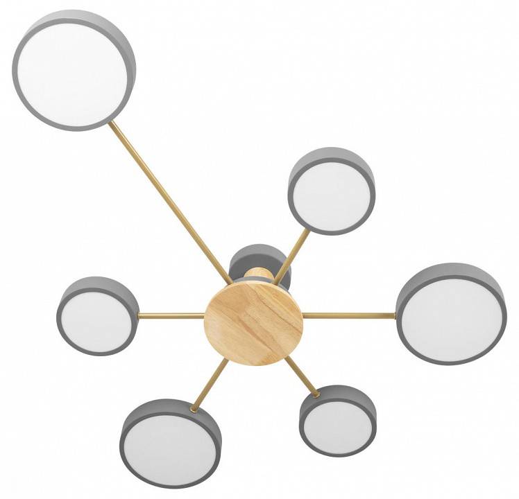 Потолочная люстра Loft it Sunrise 10316/6 Grey