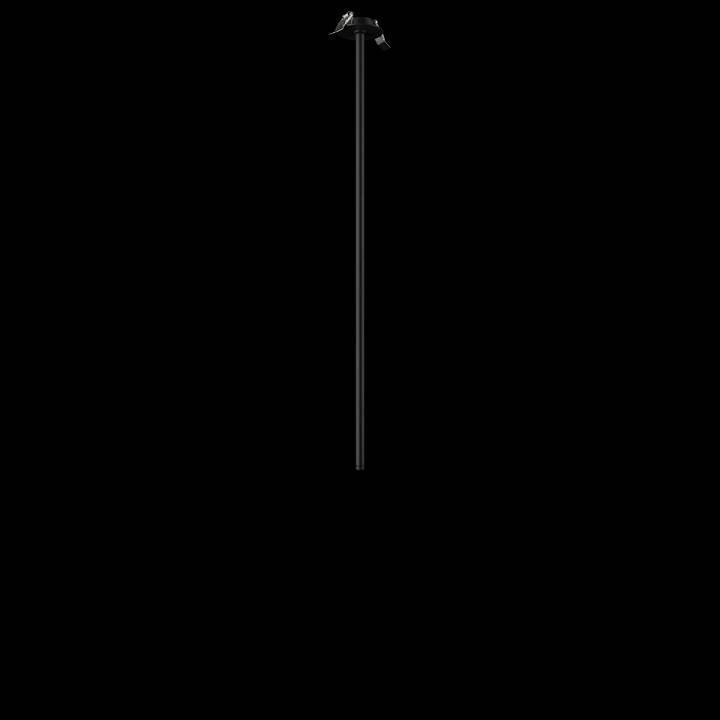 Встраиваемый светильник на штанге Loft it Cane 10359/800 Black