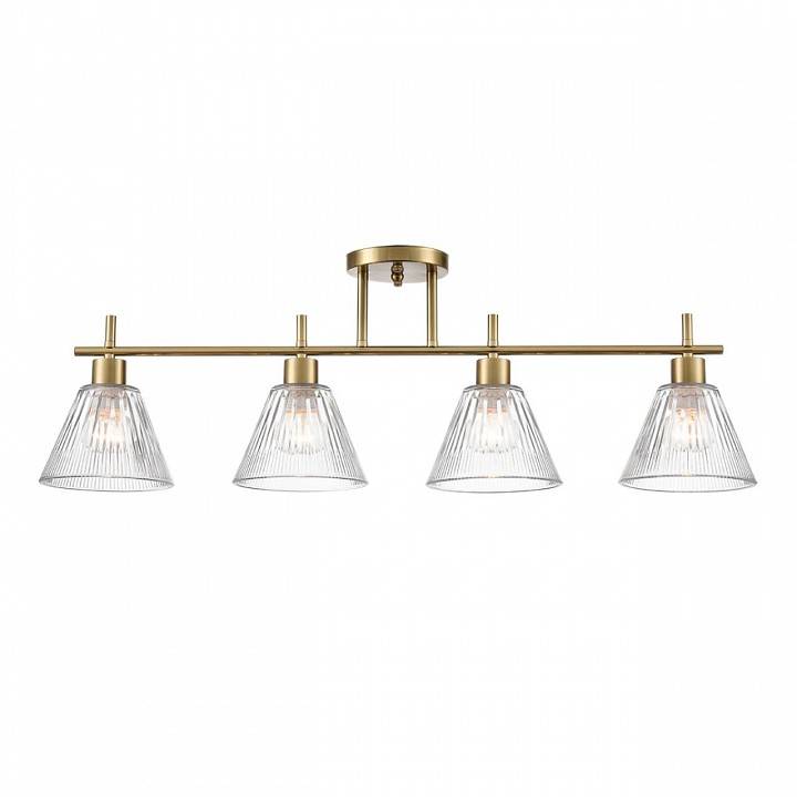 Светильник на штанге Lumion Vivian 8188/4C