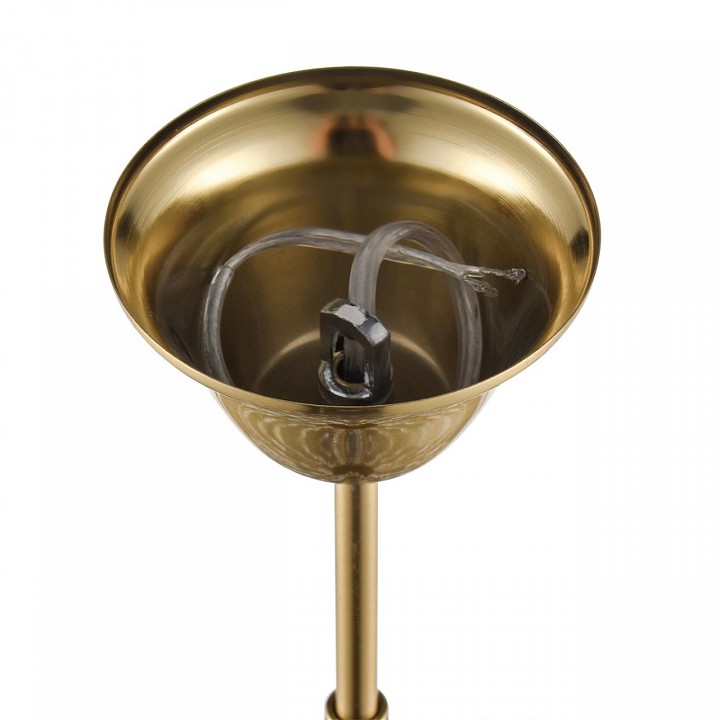 Подвесная люстра Lumion SUANA 8319/12