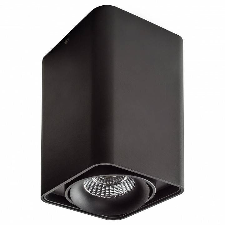 Светильник накладной Lightstar Monocco 212537