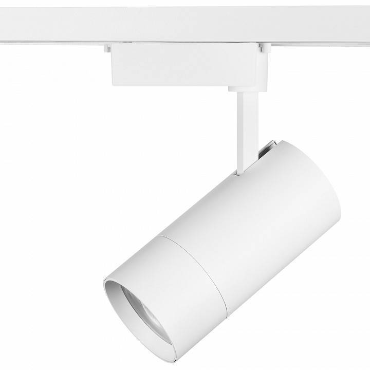 Светильник на штанге Lightstar Volta 229436