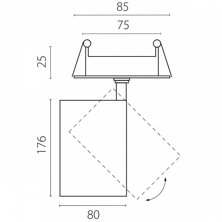 Спот Lightstar Canno Pro C4306RS