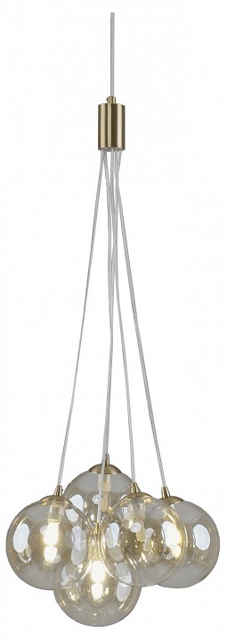 Подвесная люстра Moderli Renny 5 ламп V11721-5P