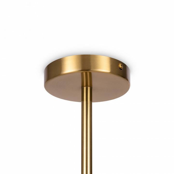 Светильник на штанге Freya Blossom FR5259PL-02BS