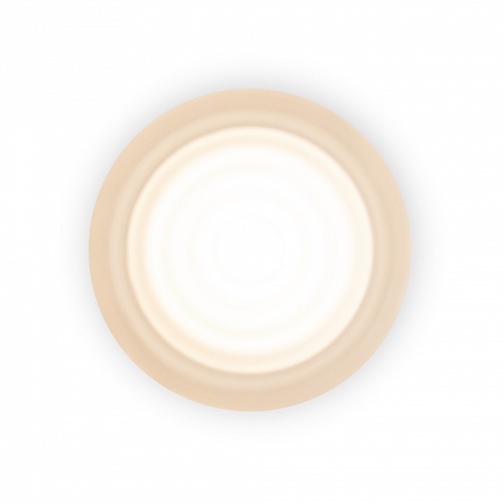 Накладной светильник Freya Retro FR5603WL-L8W1