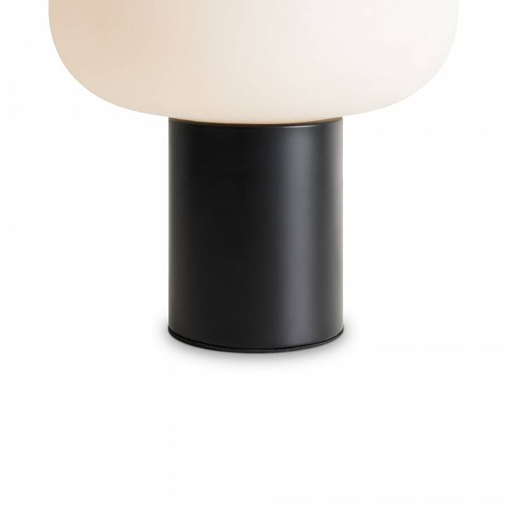 Настольная лампа декоративная Freya Take FR6175TL-L10B