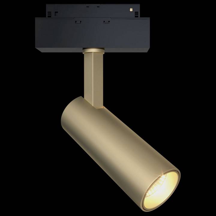 Трековый светодиодный светильник Maytoni Focus LED TR019-2-10W3K-MG