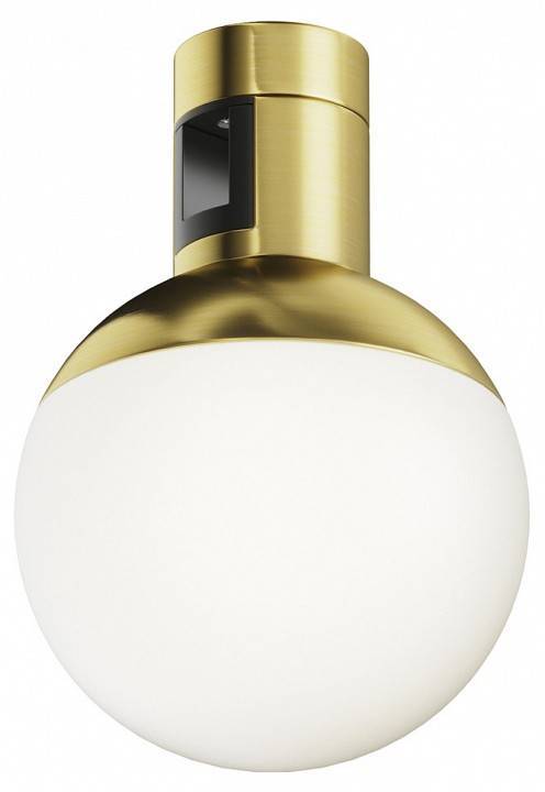 Светильник накладной Maytoni Luna 5 Вт 4000K латунь TR149-1-5W4K-BS