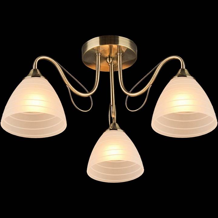 Потолочная люстра Reluce 03078-0.3-03