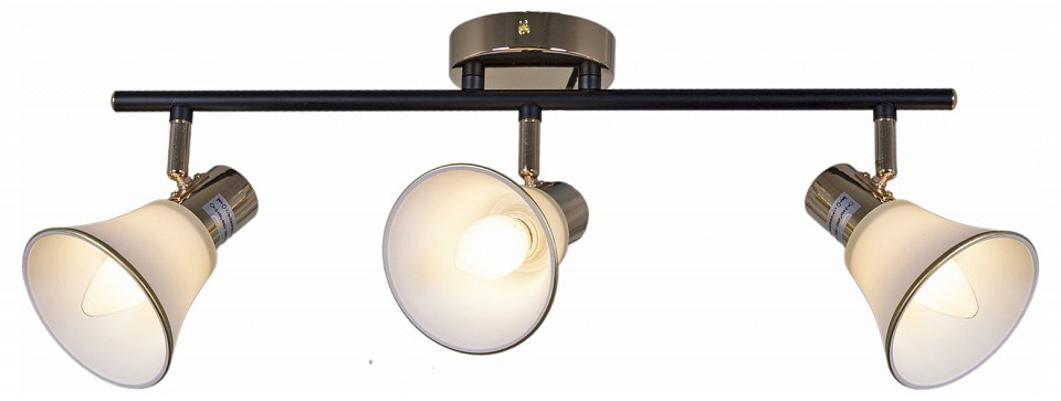 Люстра на штанге  05901-0.8-03 BK+FGD