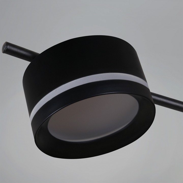 Люстра на штанге  10590-0.3-12 Black