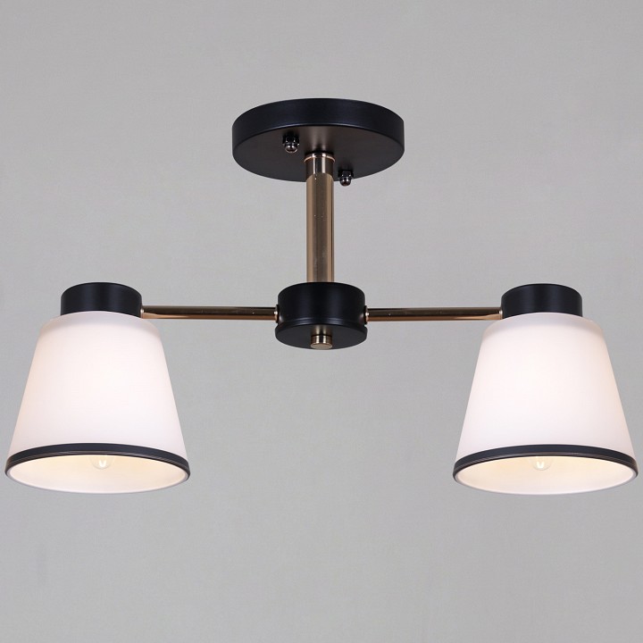 Светильник на штанге  30560-0.3-02 BK+FG