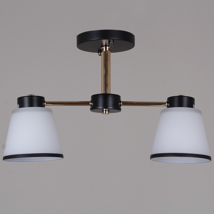 Светильник на штанге  30560-0.3-02 BK+FG