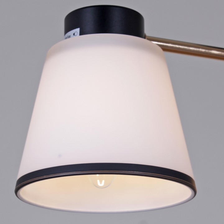 Светильник на штанге  30560-0.3-02 BK+FG