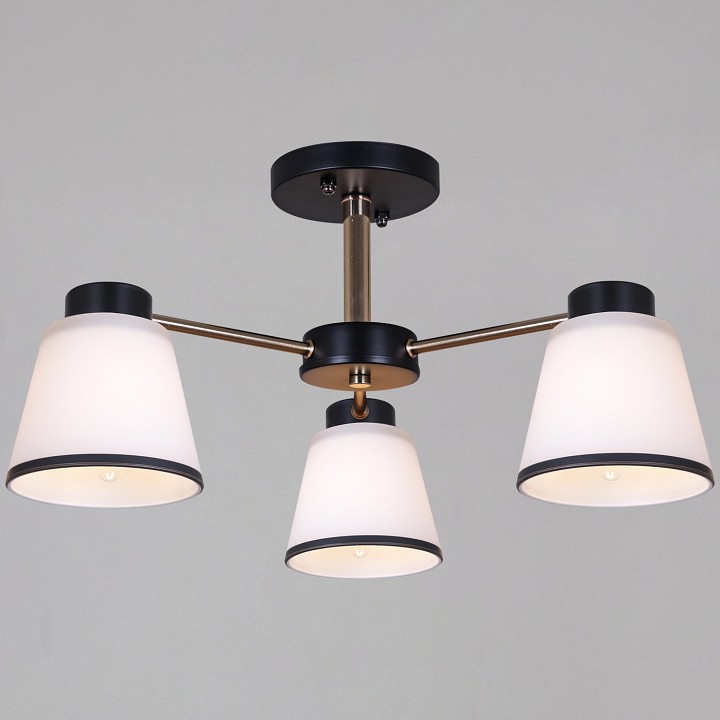 Люстра на штанге  30560-0.3-03 BK+FG