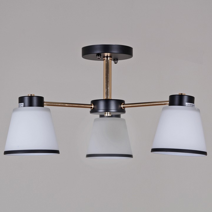 Люстра на штанге  30560-0.3-03 BK+FG