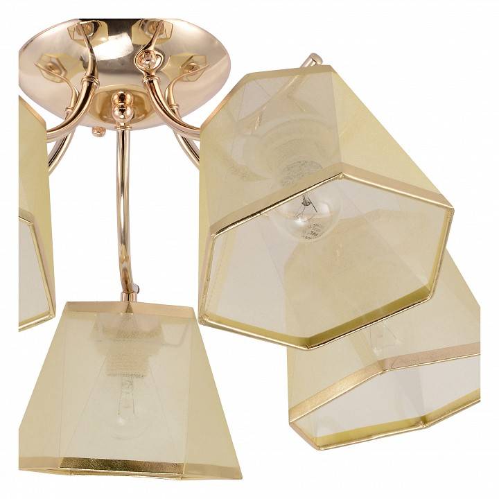 Потолочная люстра Rivoli Alyssa 5хE27 Б0059984